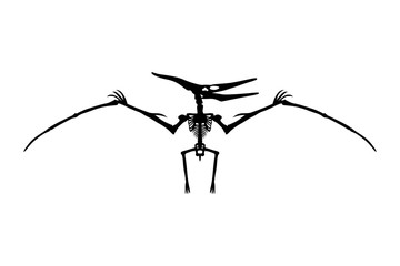 Dinosaur Pterodactyl Skeleton Silhouette Illustration Isolated © aratehortua