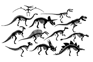Set Of Different Dinosaur Skeletons Silhouettes Isolated © aratehortua
