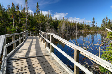 Wooden bridge in Gaspésie National Park, Quebec, CANADA.