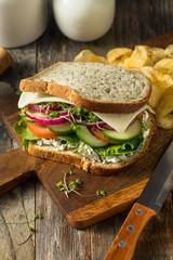 Healthy Organic Veggie Garden Sandwich