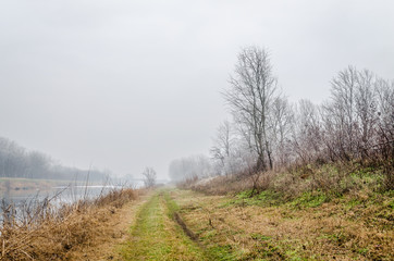 Obraz premium Shrubs deciduous plants - Prinus spinosa, covered with frost 