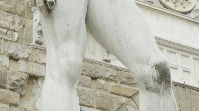 Replicas of Michelangelo's David in Piazza della Signoria in Florence, Italy.