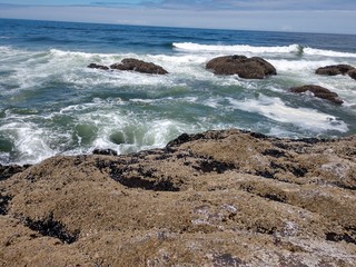 waves crashing on rocks