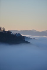MORNING ON THE HILL