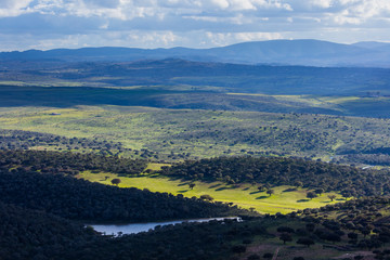 Mediterranean forest, Sierra de San Pedro, Cáceres, Extremadura, Spain, Europe
