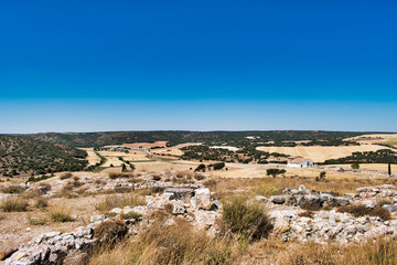 Paisaje de Castilla la Mancha (verano)