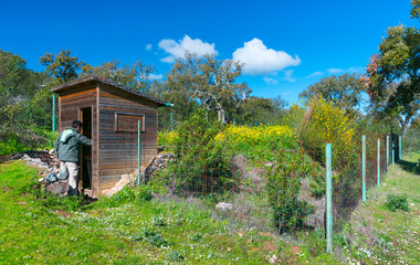 Hiding place to photograph animals, Mediterranean forest, Sierra de San Pedro, Cáceres,...