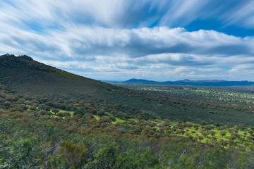 Mediterranean forest, Sierra de San Pedro, Cáceres, Extremadura, Spain, Europe