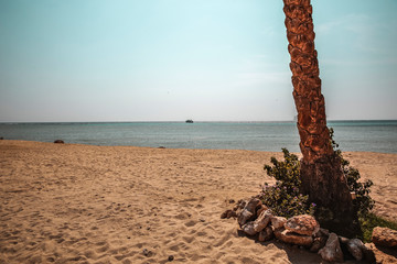 Fototapeta premium Background of beach with palms and summer time. 