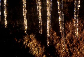 Icicles, Acadia National Park
