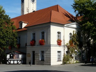 ZIELONA POLSKA RATUSZ