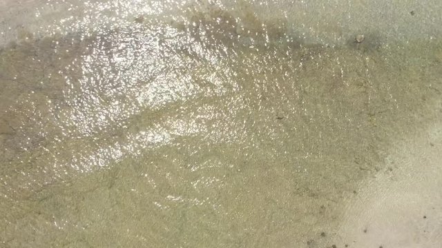 Drone B Roll in Hawaii looking at the ocean checking out the sea turtles