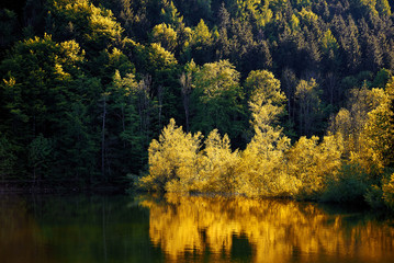 Beautiful sunset on Schwarzensee lake. Sunset sun and glare on the tree. Salzkammergut region.