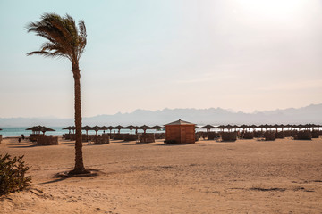 Background of beach with palms and summer time. 