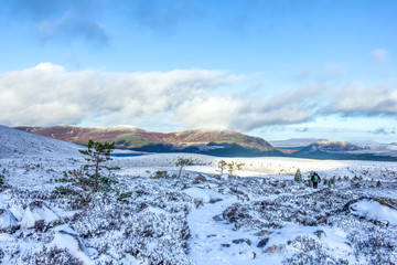 A scenic view of a snowy mountain trail track with a mountaineer walking away small pine trees and mountain range summit in the background under a majestic blue sky and white clouds