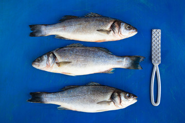 Raw sea bass on a table before cutting. Fresh sea bass.