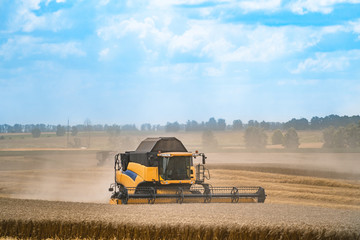 Combine harvester in action on the field. Combine harvester. Harvesting machine for harvesting a...