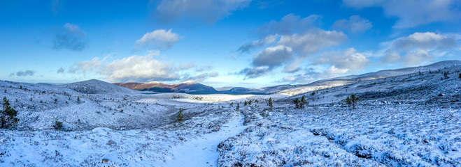 A panoramic scenic view of a snowy mountain trail track with small pine trees and mountain range summit in the background under a majestic blue sky and white clouds