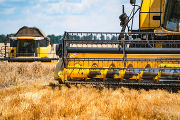 Grain harvesting equipment in the field. Harvest time. Agricultural sector