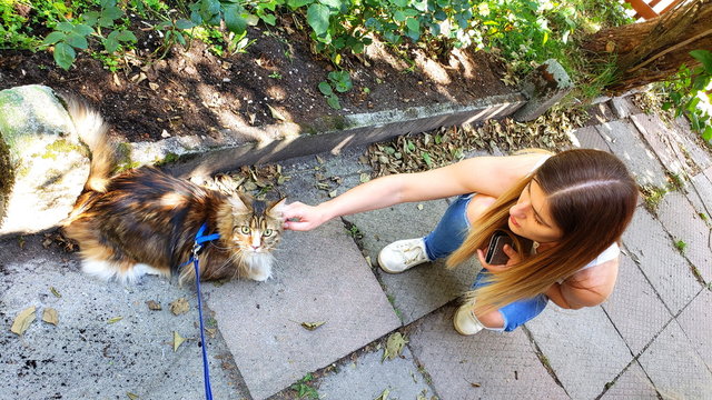 Junge Frau mit Maine Coone Katze