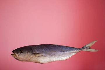 Fototapeta premium Tuna fish on a pink background, salted dried - isolate