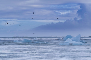 Blue hour after a autumn sunset at Jokulsarlon lagoon - Iceland