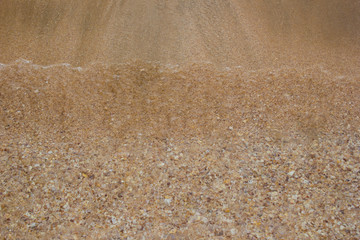 Shore beach water sea wave sand shells, background texture