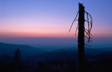 Blaue Stunde am Mooskopf Baden Württemberg