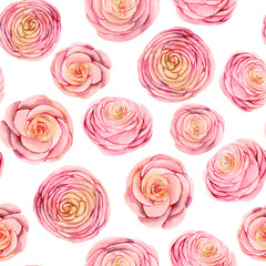 Seamless pattern of watercolor pink roses buds, hand painted on white background
