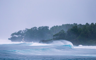 Spray curls off breaking wave against tropical coast