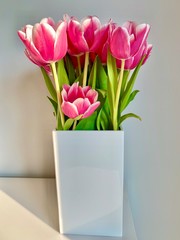 tulips in a vase