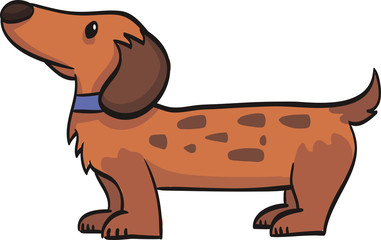dachshund funny drawing cartoon dog at the white background