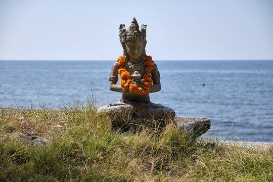 Marigolds In Bali.