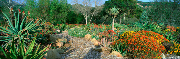 Garden At Center for Earth Concerns, Ojai, California