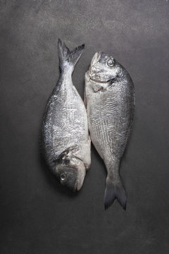 Fresh raw dorado fish on dark background