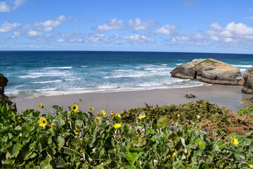 coast of mediterranean sea