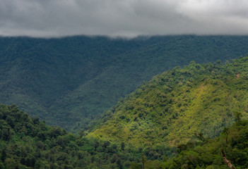 Obraz premium Foggy and lush mountain landscape.