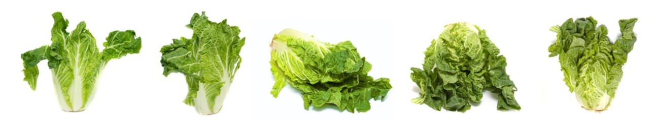Beijing cabbage isolated on a white background.