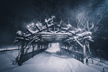 Night Time Blizzard Park Pathway 