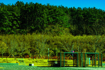 Fototapeta premium 겨울산