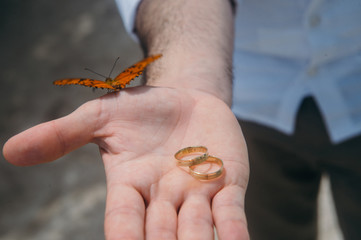 Wedding rings with a butterfly