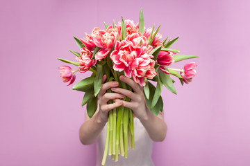 close-up of a bouquet of tulips on a pink background, spring concept, girl holds flowers
