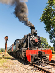 Obraz premium Tourist train called Valdiviano that runs from Valdivia to Antilhue with a 1913 North British locomotive type 57. Los Rios Region, in southern Chile.