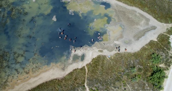 Medicinal mud physical therapy on the beach in in Nin, Croatia