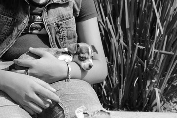 Niña con su perrito abrazado 