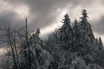 Skitouring in Beskydy mountains