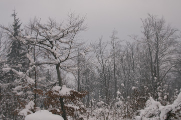 Skitouring in Beskydy mountains