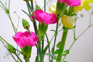 carnation, gypsophila and snapdragon flowers