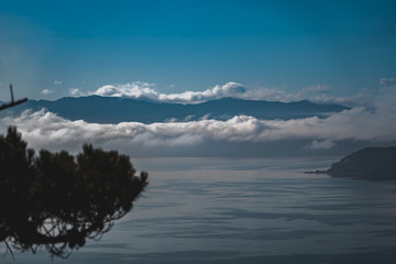 Wellington in a foggy morning, New Zealand