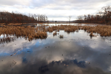 Winter Pond Reflections